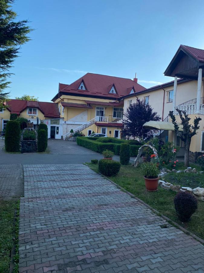 Pensiunea Viena Târgu-Mureş Exterior foto
