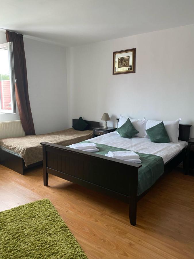 Pensiunea Viena Târgu-Mureş Exterior foto